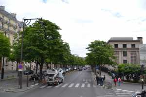 Paris2015 (105)